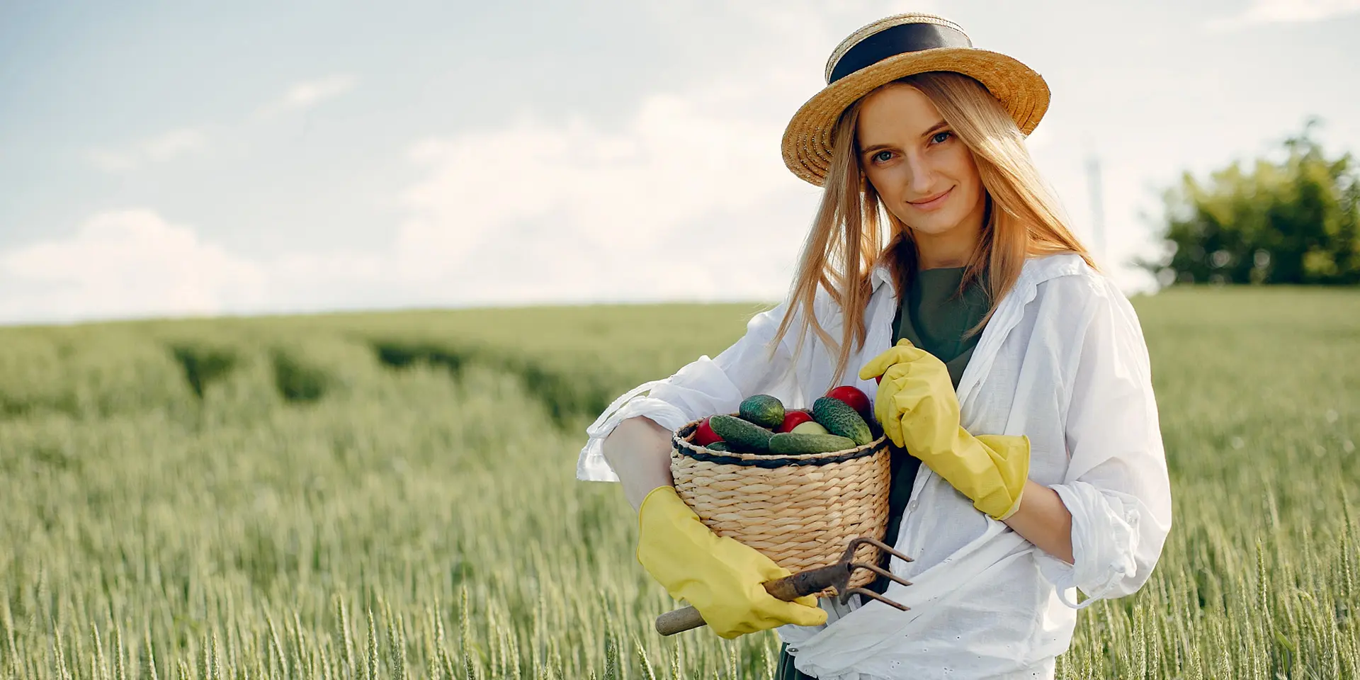 Як отримати засвядчення — сезонне запрошення на роботу в Польщу