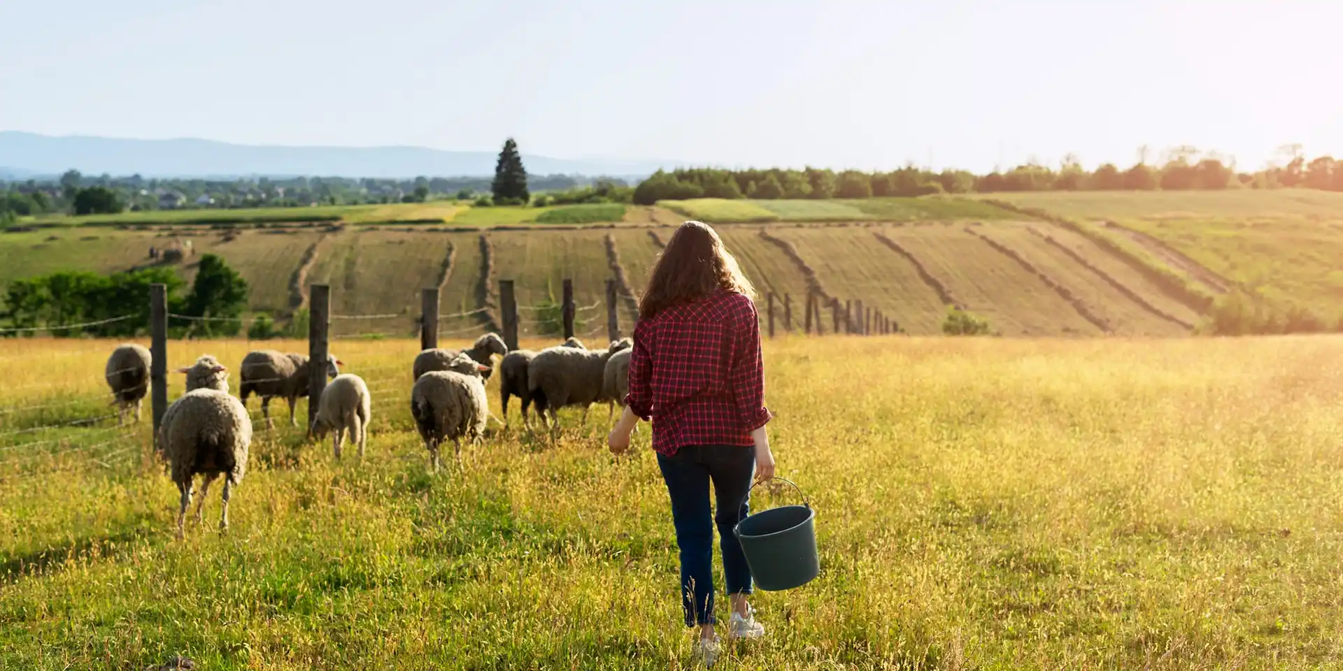 Освядчення на працю в Польщі: як отримати, перевірити й безпечно використати oświadczenie